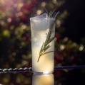 64135 SAVAGE HIGHBALL BARDAĞI (~330 CC)